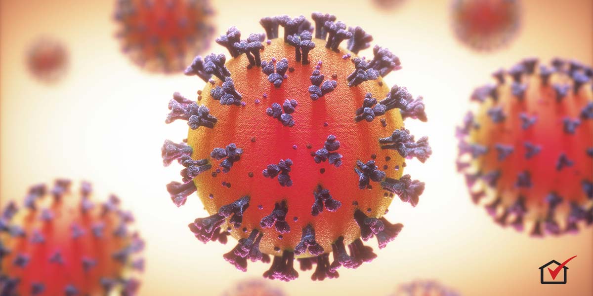 covid-19 coronavirus